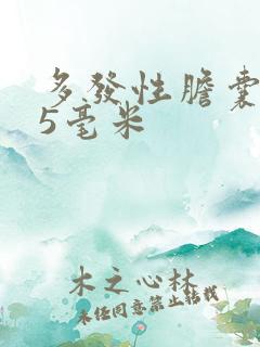 多发性胆囊结石5毫米