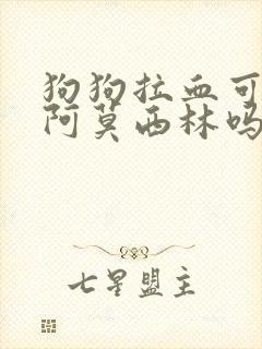 狗狗拉血可以喂阿莫西林吗