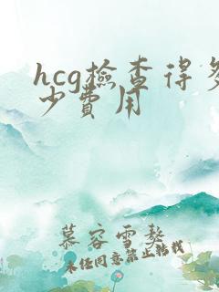 hcg检查得多少费用