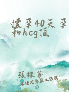怀孕40天孕酮和hcg值