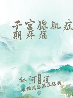 子宫腺肌症非经期疼痛