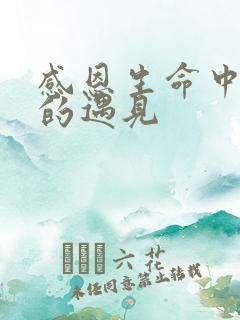 感恩生命中所有的遇见