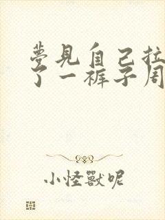 梦见自己拉屎拉了一裤子周公解梦