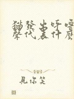 猫发出呼噜呼噜声代表什么