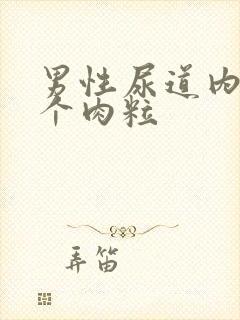 男性尿道内侧长个肉粒