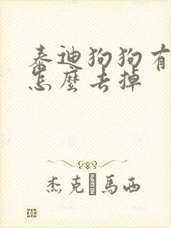 泰迪狗狗有泪痕怎么去掉