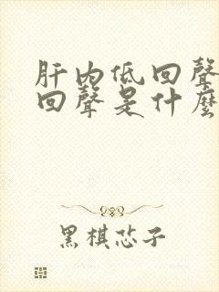 肝内低回声和强回声是什么意思