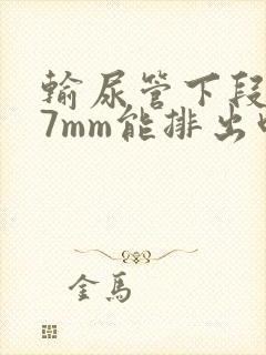 输尿管下段结石7mm能排出吗