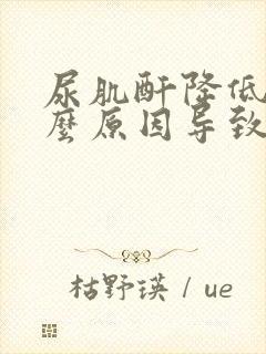 尿肌酐降低是什么原因导致的