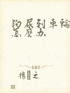 狗尿到车轮胎上怎么办