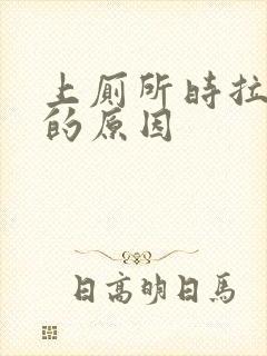 上厕所时拉出血的原因