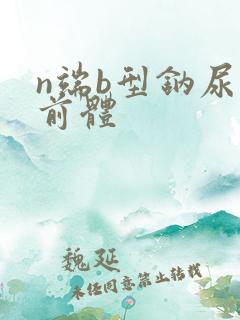 n端b型钠尿肽前体