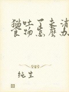 猫吐了未消化的食物怎么办