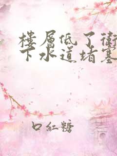 楼层低了卫生间下水道堵塞反水怎么办