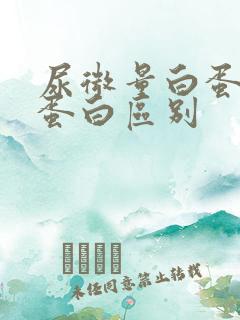 尿微量白蛋白尿蛋白区别