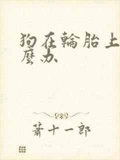 狗在轮胎上尿怎么办