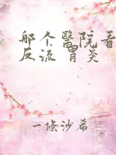 哪个医院看胆汁反流 胃炎