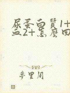 尿蛋白质1+隐血2+怎么回事