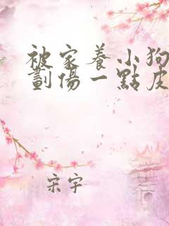 被家养小狗牙齿划伤一点皮出血有事吗