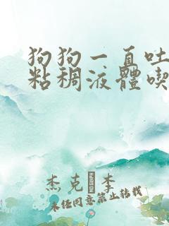 狗狗一直吐黄色粘稠液体吃什么药