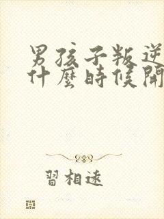 男孩子叛逆期从什么时候开始什么时候结束