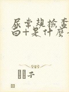 尿常规检查尿蛋白+是什么意思