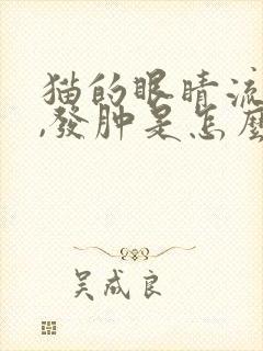 猫的眼睛流眼泪,发肿是怎么回事?