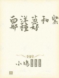 白洋葱和紫洋葱哪种好