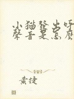 小猫发出呼呼的声音是怎么回事