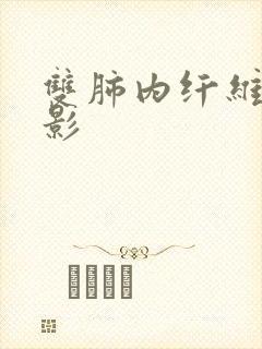 双肺内纤维条索影