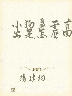 小狗鼻子有水流出是怎么回事