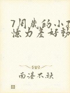 7周岁的小孩记忆力差好动怎么办