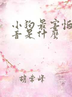 小狗最害怕的声音是什么