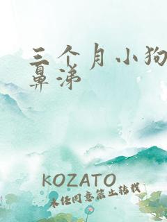 三个月小狗流黄鼻涕