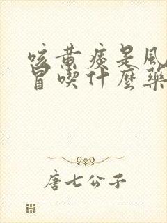 咳黄痰是风热感冒吃什么药