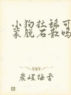 小狗拉稀可以吃蒙脱石散吗