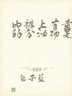 内裤上有黄棕色的分泌物是怎么回事