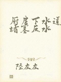 厨房下水道主管堵塞反水