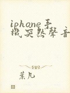 iphone手机突然声音变小了怎么回事