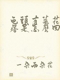 龟头有菜花状疙瘩是怎么回事