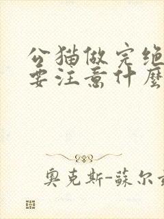 公猫做完绝育需要注意什么