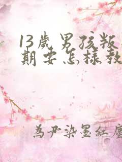 13岁男孩叛逆期要怎样教育或开导呢