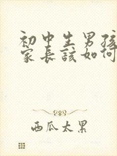 初中生男孩早恋家长该如何教育和沟通