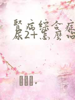 肾病综合症蛋白尿2+怎么治疗