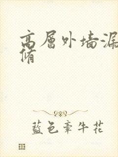 高层外墙漏水维修