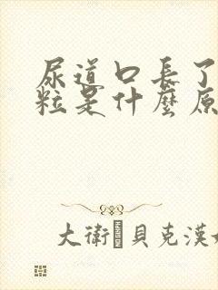 尿道口长了小肉粒是什么原因