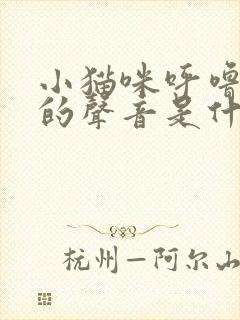 小猫咪呼噜呼噜的声音是什么意思