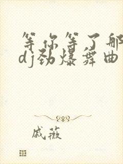 等你等了那么久dj劲爆舞曲