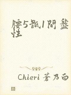 腰5骶1间盘变性