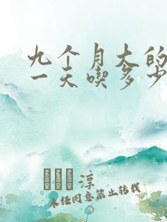 九个月大的边牧一天吃多少